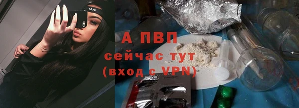 стаф Протвино