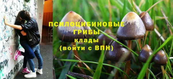 стаф Протвино