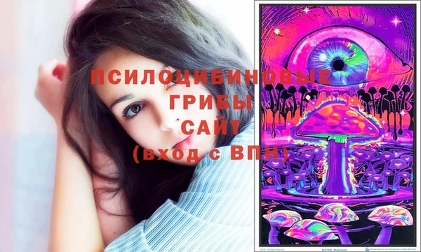 соль курить ск Приозерск