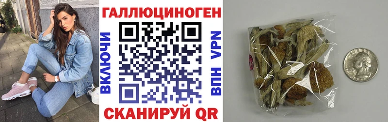 Псилоцибиновые грибы ЛСД  дарнет шоп  Стародуб 