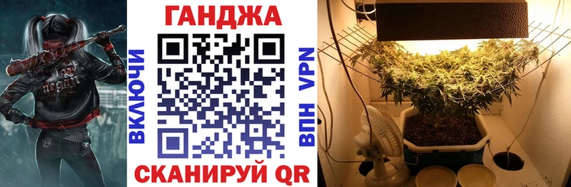 Бошки Шишки сатива Стародуб